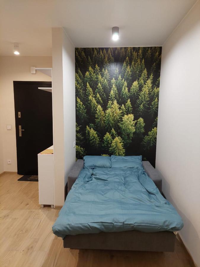 Apartament Pod Gora Szyndzielnia , Debowiec 비엘스코-비아와 외부 사진
